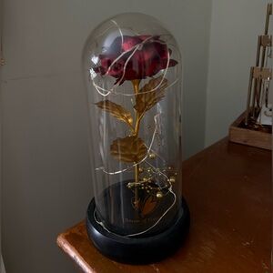 Enchanted Red Rose in Glass Dome